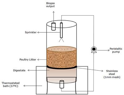 Poultry Litter Solid State Anaerobic Digestion: Effect of Digestate Recirculation Intervals and Substrate/Inoculum Ratios on Process Efficiency